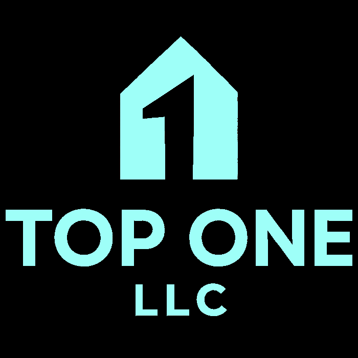 TOP ONE LLC logo